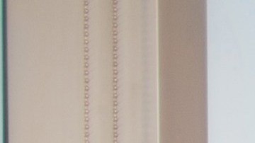 La mayoría de las empresas latinas son jóvenes y tienen gestores también muy jóvenes./Shutterstock