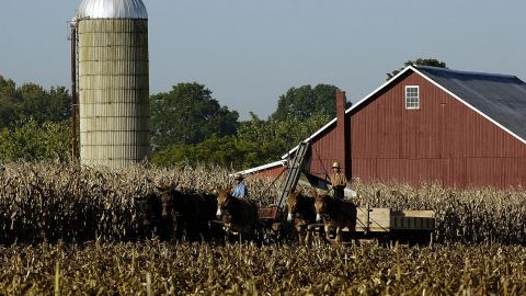 Muchos agricultores van a recibir ayudas estatales por la imposibilidad de vender las cosechas a China./Stan Honda/AFP/Getty Images.
