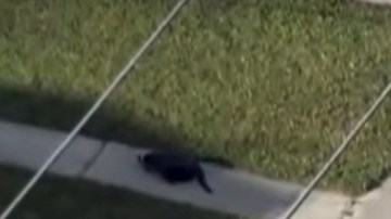 El accidente en Florida.