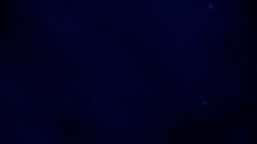 Christiani Pitts encabeza el elenco