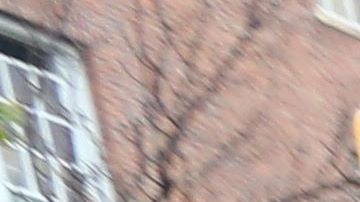 Jóvenes latinos Alexis Ortiz, Jennifer Díaz, Kevin Finnegan Díaz y Andrés Aguirre, se convierten en una nueva fuerza electoral en medio del clima anti-inmigrante del a Administración Trump