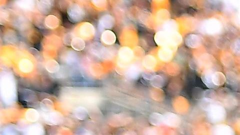 James Conner es la nueva estrella de los Pittsburgh Steelers.