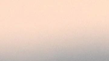 El presidente pone en problemas a las compañías de autos con sus aranceles y tuits