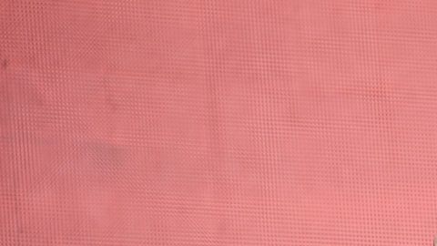 La propuesta legal está en la lista de prioridades del mandatario estadal para el cierre de las sesiones legislativas que terminan el 19 de junio.
