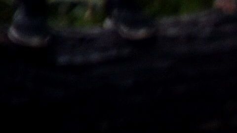 Balas contra piedras parece ser la consigna.