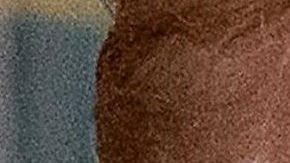 Whitaker, ha descalificado públicamente la investigación de Muller