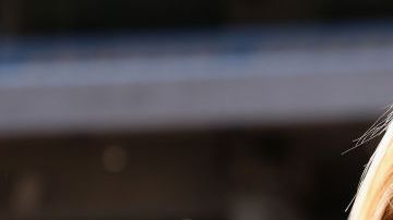 Kyrsten Sinema, senadora electa. Christian Petersen/Getty Images