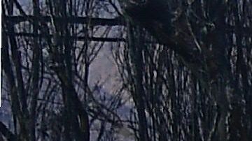 Trabajadores revisan las líneas de gas entre  viviendas dañadas en Malibu. Getty Images