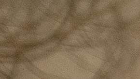 Rescatistas escudriñan los escombros en busca de restos humanos en Paradise.