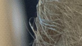 La salida de John Kelly y Kirstjen Nielsen estarían listas