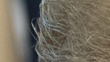 La salida de John Kelly y Kirstjen Nielsen estarían listas