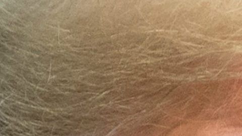 Sigue la guerra comercial entre EEUU y China