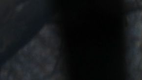 Un trabajador de rescate y su perro entrenado buscan restos humanos en Paradise.