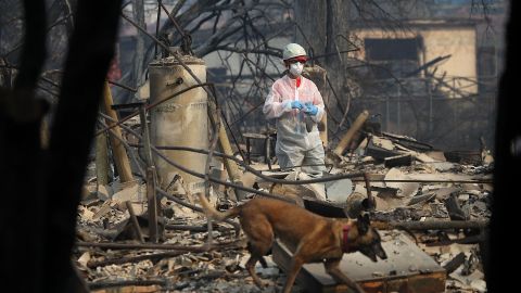 Un trabajador de rescate y su perro entrenado buscan restos humanos en Paradise.