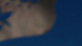 Barack Obama y Andrew Gillum llegan a comer a Coyo Taco en Miami.