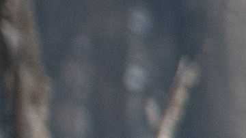 El presidente Trump y la alcaldesa de Paradise Jody Jones.