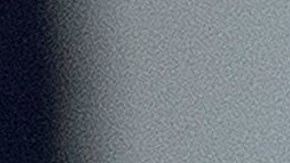 US-POLITICS-THANKSGIVING-TURKEYS