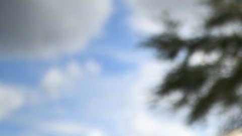 El republicano Ron DeSantis, gobernador de Florida.