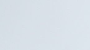 Un comunicado oficial de CBP desmintió a Trump