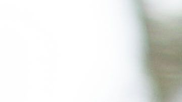 El gobierno prometió hacerlos esperar