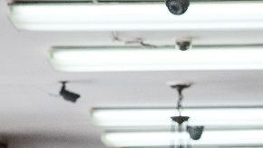 ICE continúa operaciones en busca de trabajadores indocumentados