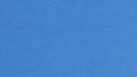 Sarah Michelle Gellar.