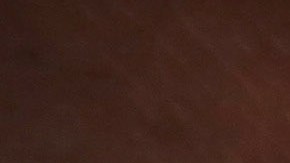 El proceso biométrico es uno de los esfuerzos de USCIS para evitar fraudes.