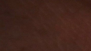 El proceso biométrico es uno de los esfuerzos de USCIS para evitar fraudes.