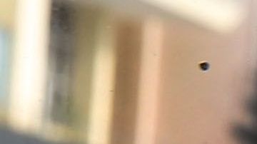 Mucha gente no soporta el olor a auto nuevo