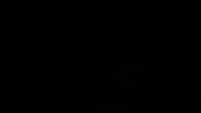 De ganar los demócratas Trump sufriría una fuerte derrota política