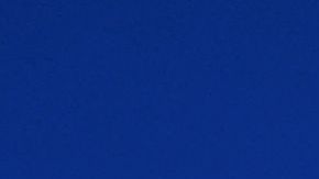 Muchos rechazaron el discurso de odio en estas elecciones.