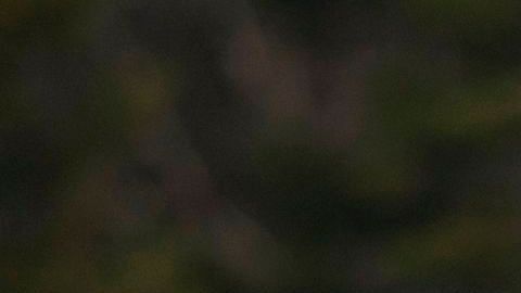 Las peticiones de refugio de estadounideses a Canadá crecieron desde 2017.