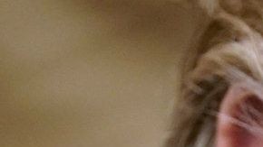 Por su parte Trump sigue arremetiendo contra inmigrantes que buscan ayuda