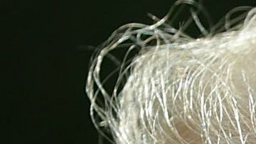 La última vez que Arizona tuvo un senador demócrata fue en 1988.