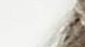 Sigue el intercambio entre la primera dama y su antecesora, Michelle Obama