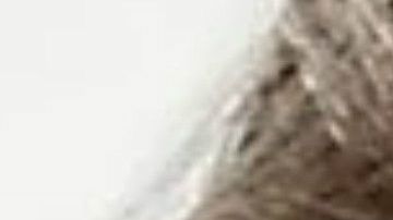 Sigue el intercambio entre la primera dama y su antecesora, Michelle Obama