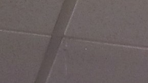 USCIS reporta que han aumentado las solicitudes de naturalización.