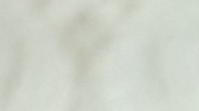 El presidente Trump defiende la alianza con Arabia Saudita.