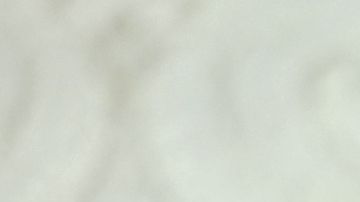 El presidente Trump defiende la alianza con Arabia Saudita.