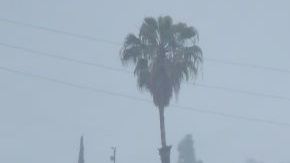 Lluvia en autopista de California.
