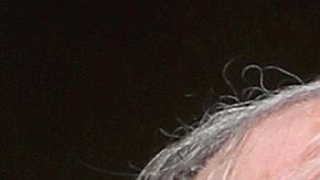 Meghan junto a sus suegros Carlos y Camila.