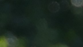 La pareja estuvo en Vermont el año pasado.