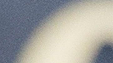 Melania dispara contra sus críticos