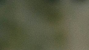 cementerio
