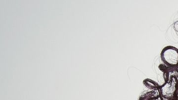 Se trata de buscar la manera más fácil y a la vez económica de mantener esa cabellera rizada saludable y bella.