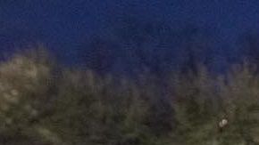 Amar es el segundo detenido que fallece en custodia de ICE en el año fiscal 2019