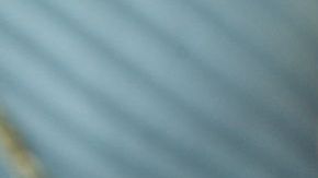 IM_20130131_LOCALES_130139845