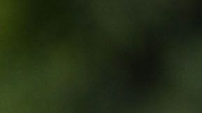 Javier "Chicharito" Hernández se defendió de sus detractores sin que lo atacaran