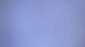 Miguel Layún volvió a ser convocado en la Selección Mexicana después del Mundial de Rusia 2018