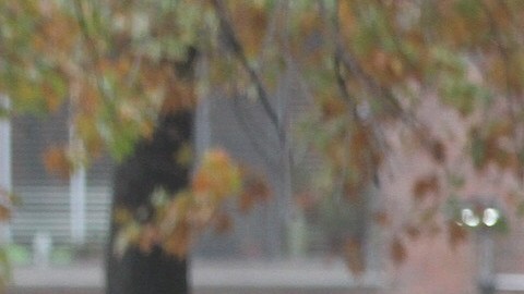 Largas filas se vieron en los puestos de votantes